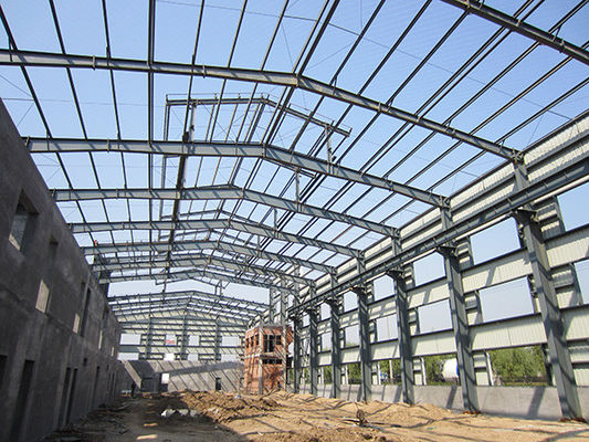 Vinnige assemblage Structurele staalondernemers voor magazijn en werkplaats