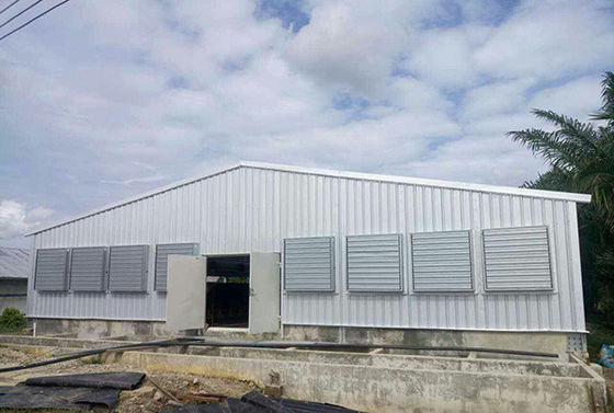 Q235B Staalconstructie Vogelhuis Geverfd staal frame Kippenkooi